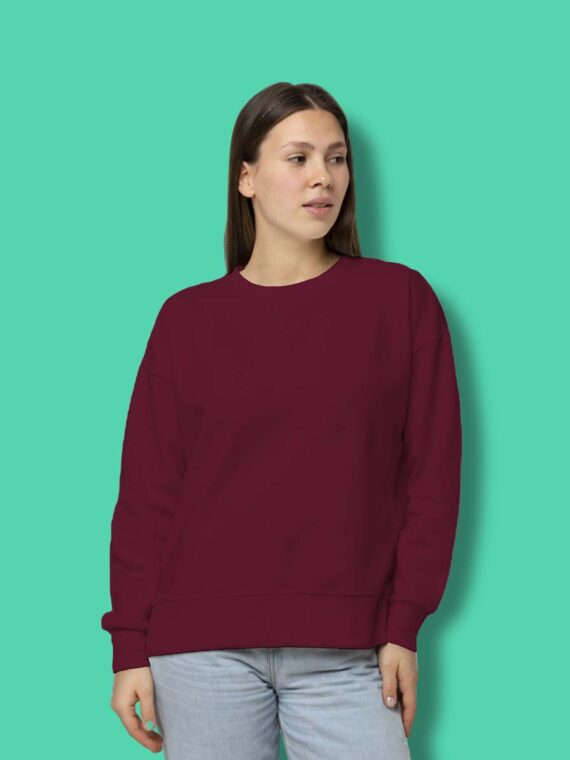 PLANE RED WINE - WOMEN'S SWEATSHIRT