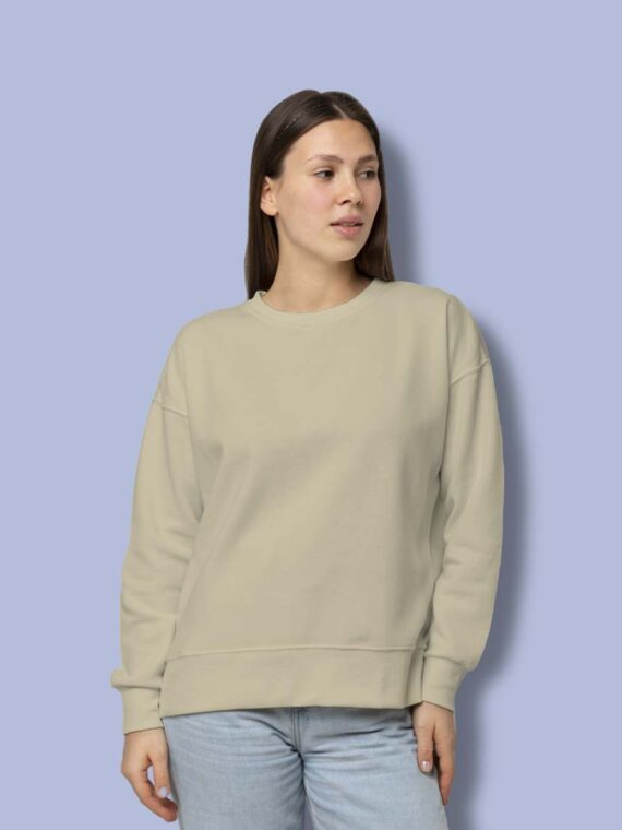 PLANE BEIGE - WOMEN'S SWEATSHIRT